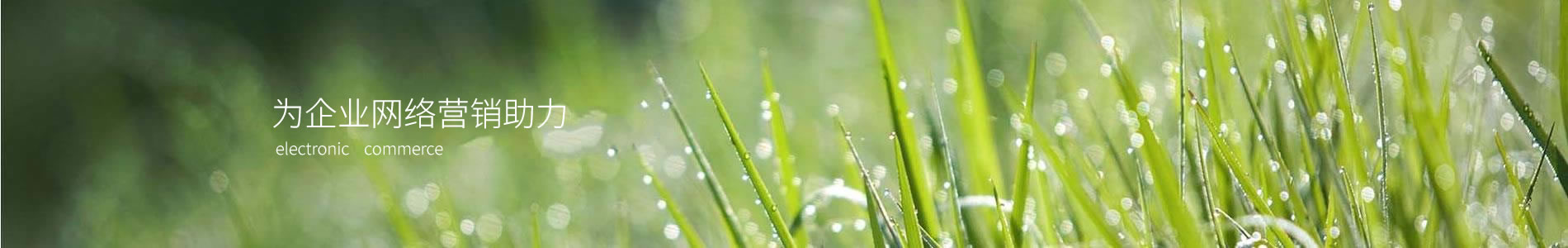 ֣ݰؿƼ޹˾